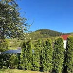 Waldblick *